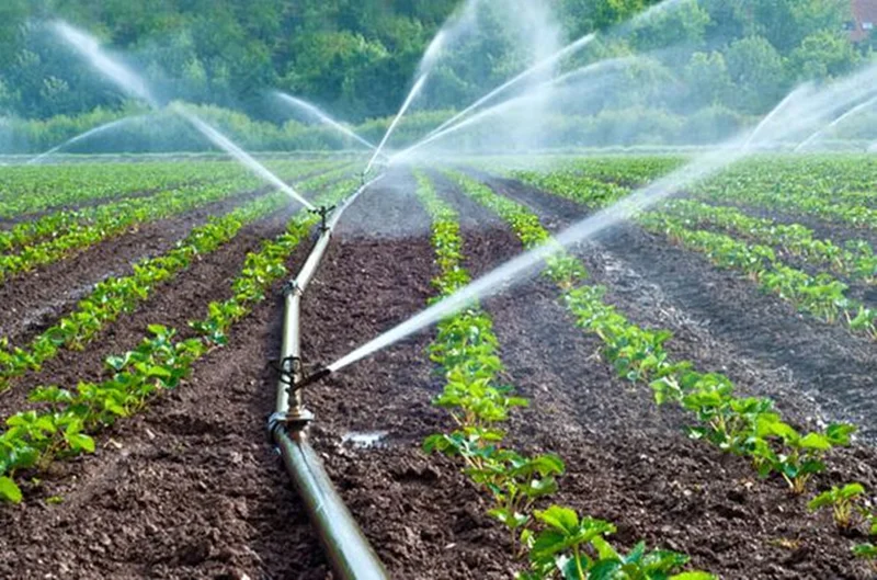 تجهیز ۲ میلیون هکتار اراضی کشاورزی به سیستم‌های هوشمند آبیاری تا سال ۱۴۱۱